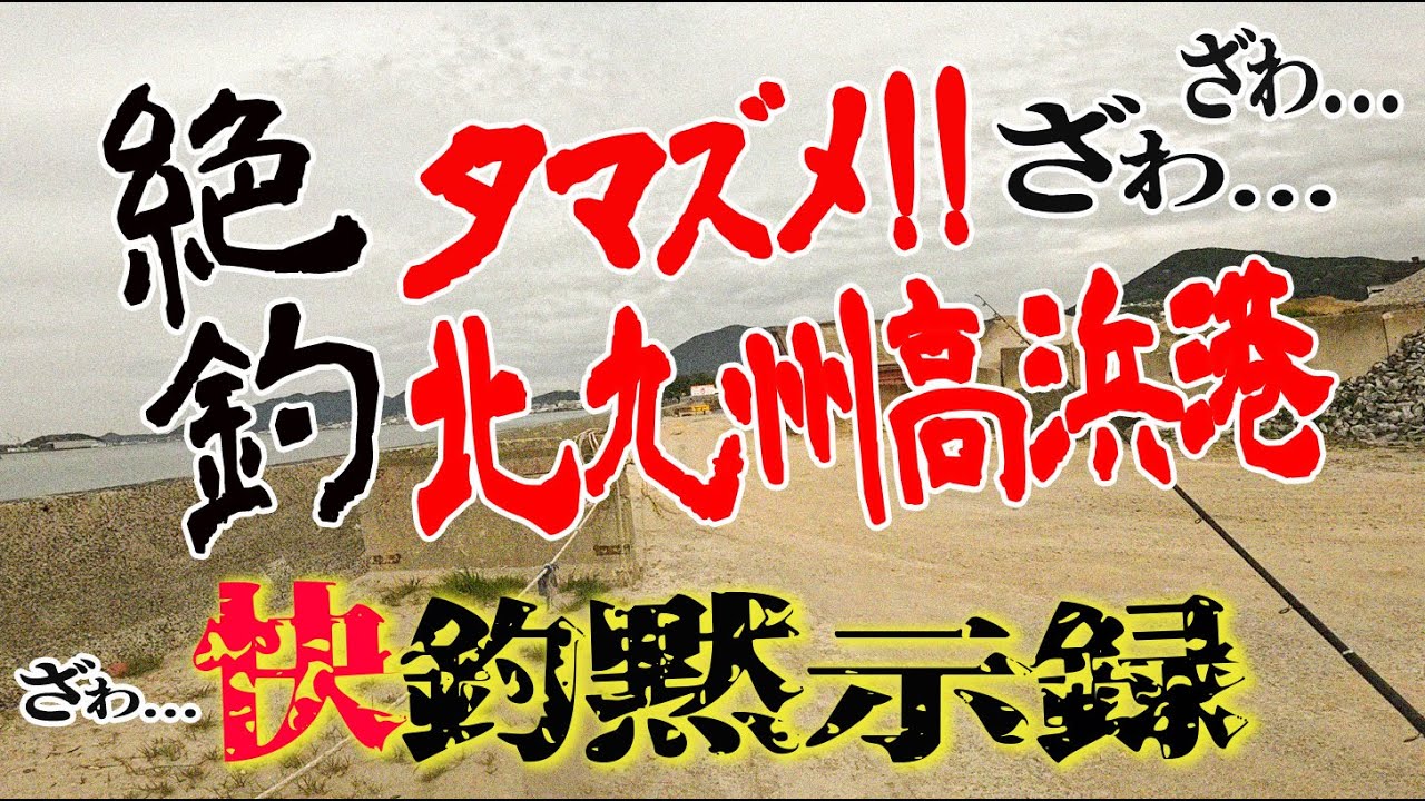 【北九州/高浜港 夕マズメ釣り】釣り開始直後に即HIT！調子に乗る花沢の運命は…！？