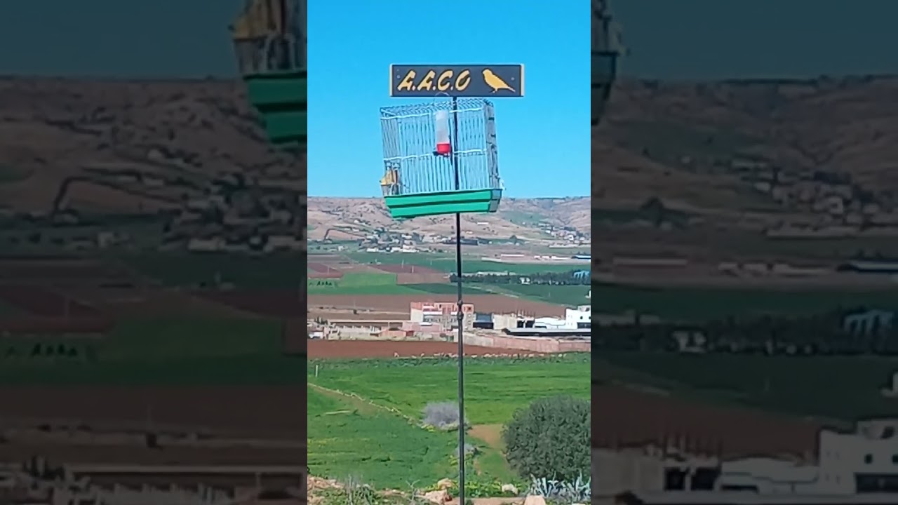 رمضان مبارك علينا و عليكم 