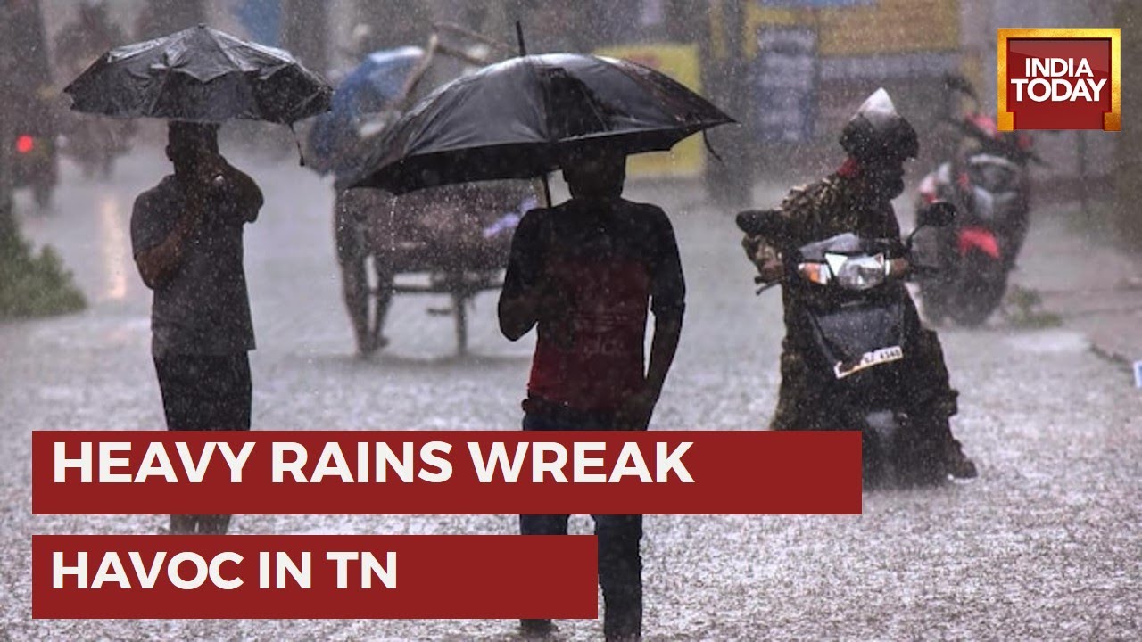 Tamil Nadu Rains: Several TN Districts Under Alert, Schools, Remain Shut As Heavy Rain Continues
