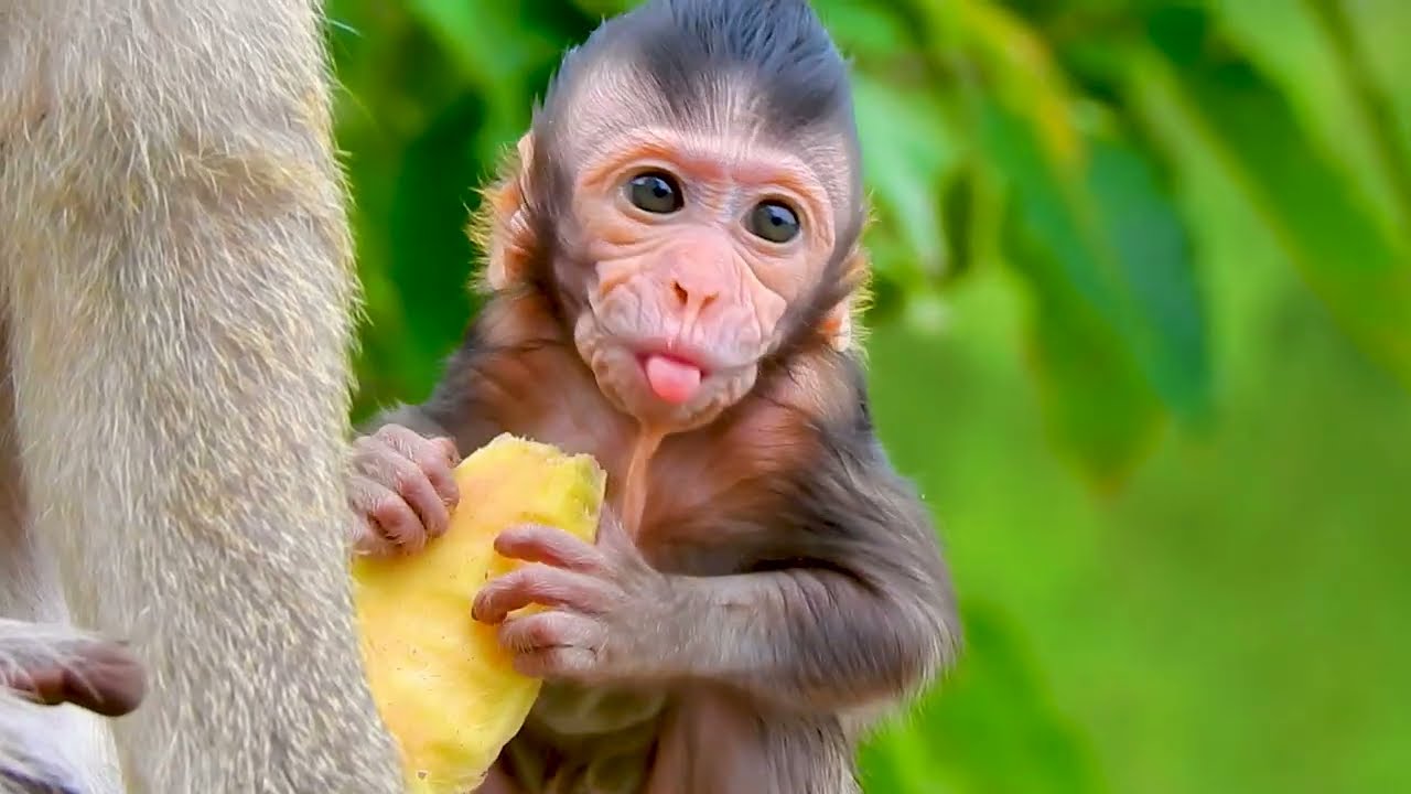 Cute Baby Tia Real Cute baby