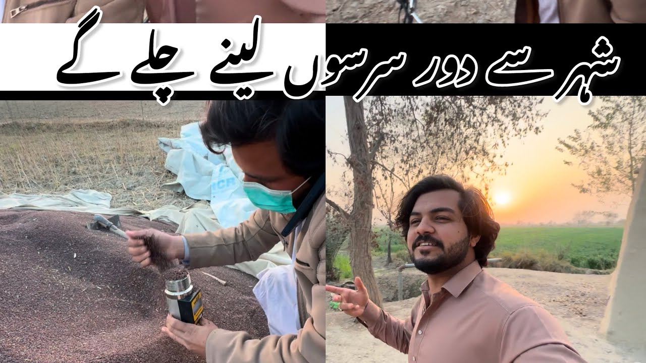 Shehr sy door | sarim leny gay😭😂 #shehrmaindihataagya 