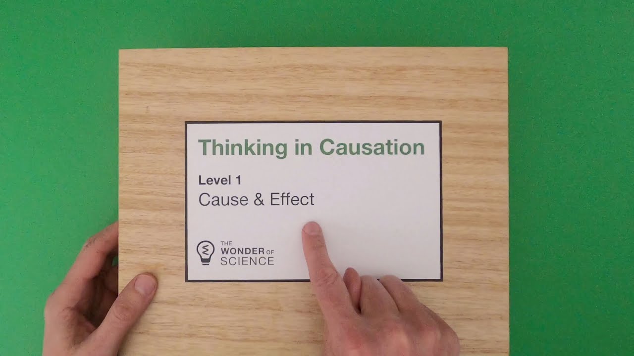 Cause and Effect