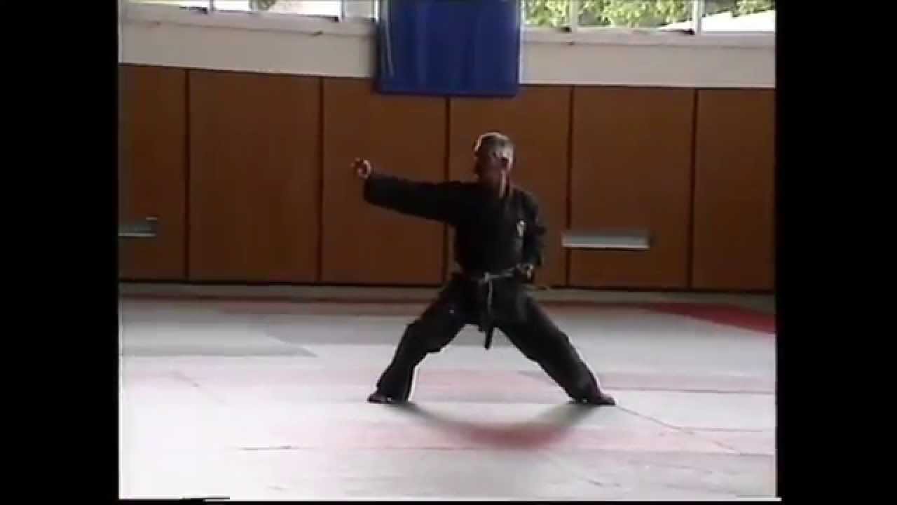Chuong Quan Khi Dao - Dang Mon Quyen - Stage DTN 2000, Poitiers, France