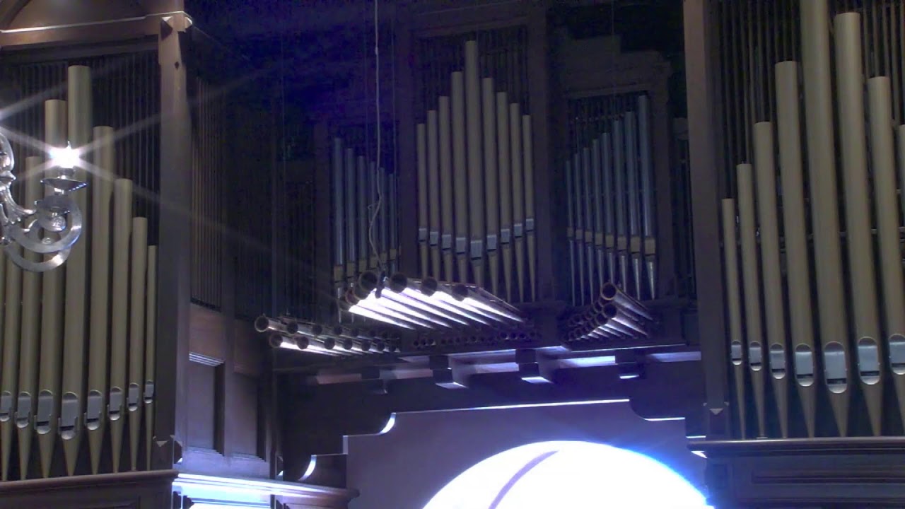 February 8, 2026 The Presentation of Our Lord In The Temple