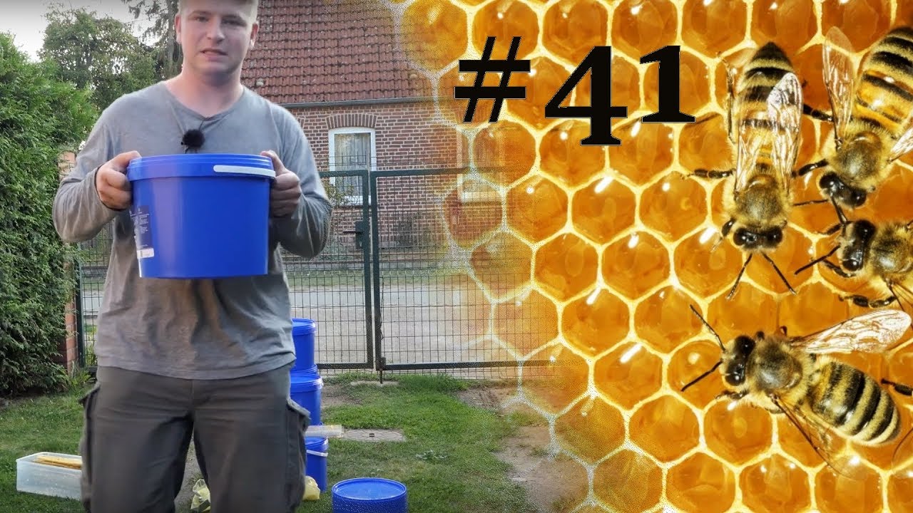 Imkern mit einem Anfänger #41, Bienen füttern