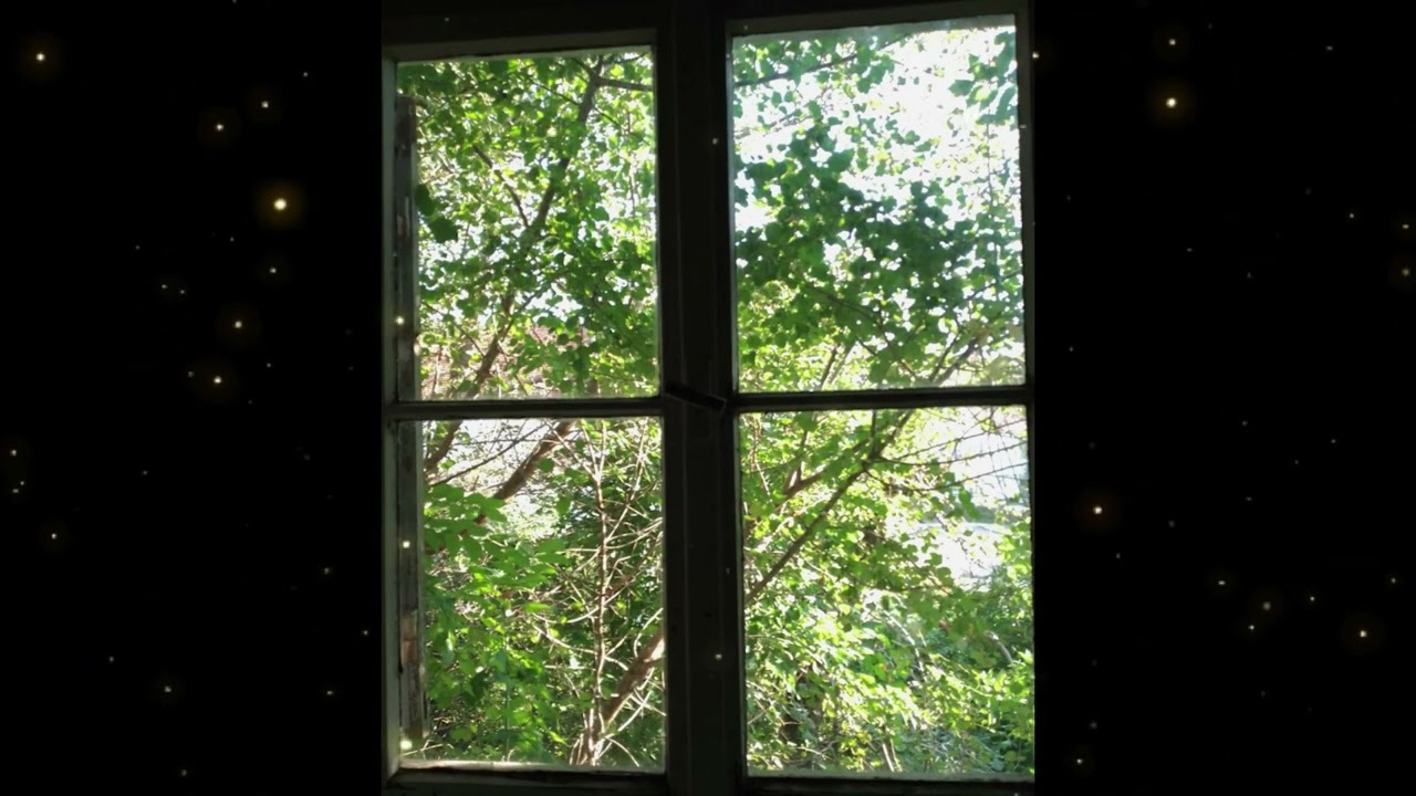 Window to Green Paradise 🌿 Calming Garden Nature Sounds - Birds, Cicadas, Deep Relaxation