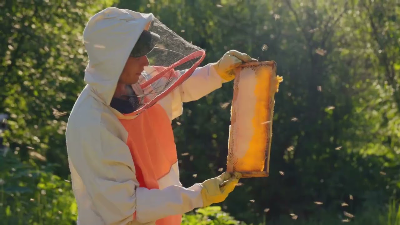Top 5 Sting Proof Beekeeping Gloves