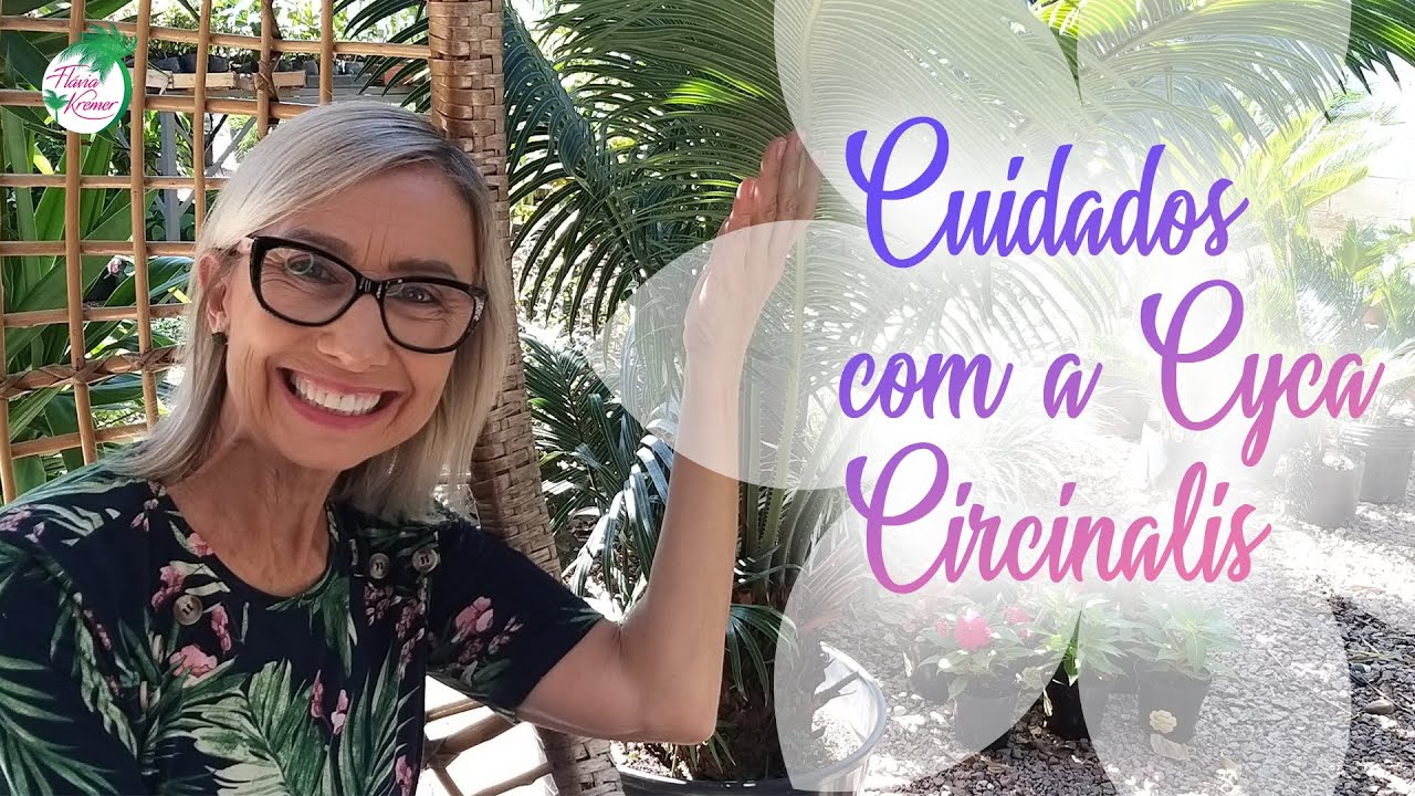 🌱 Como cuidar da Palmeira Cyca Circinalis | Flávia Kremer