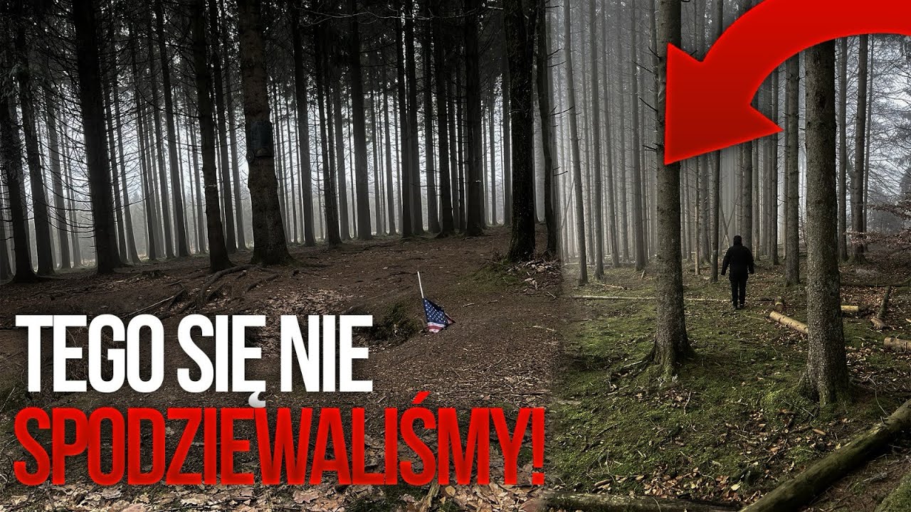 TO NIE JEST ZWYKŁY LAS…ARDENY 1944 🔴 