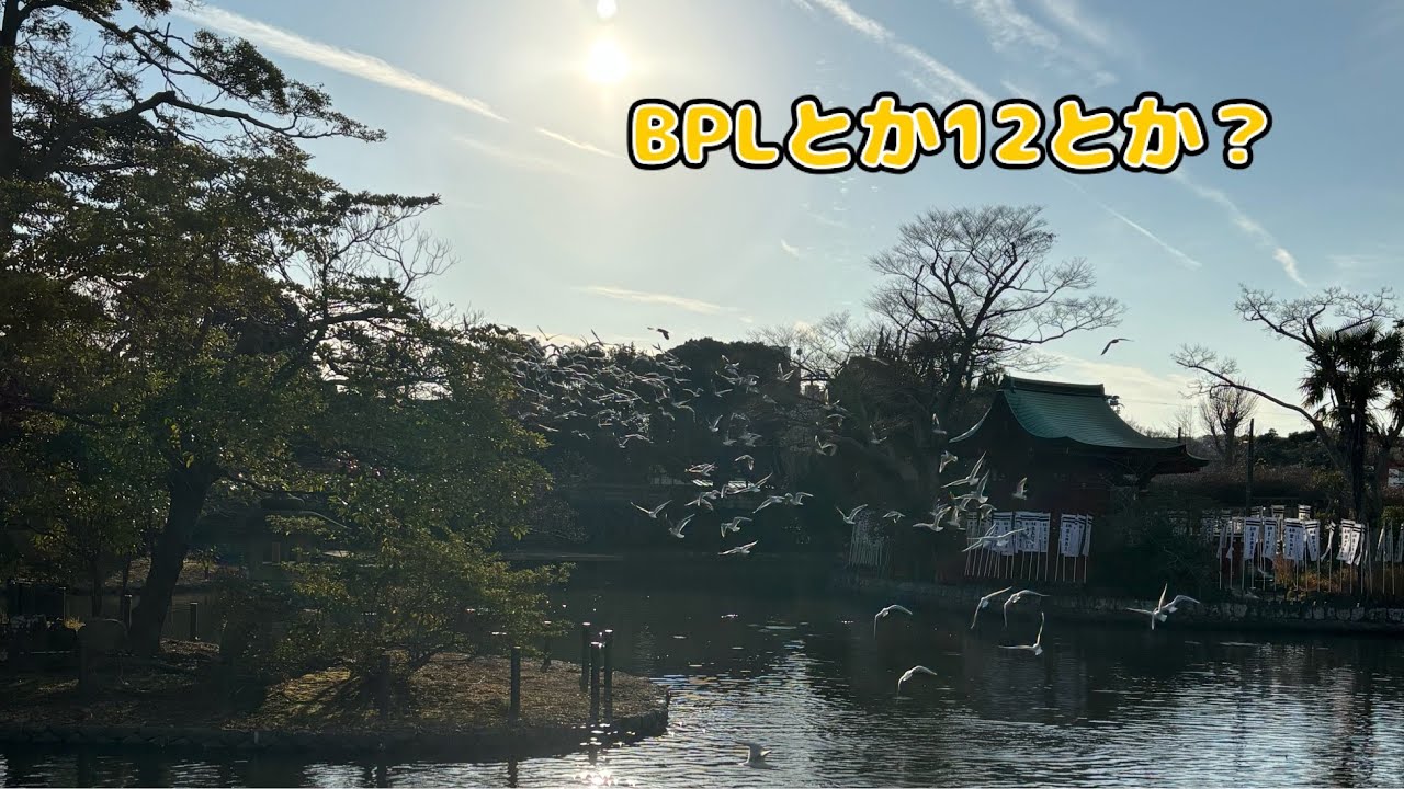 アリーナおわたからBPLか12やるかね？