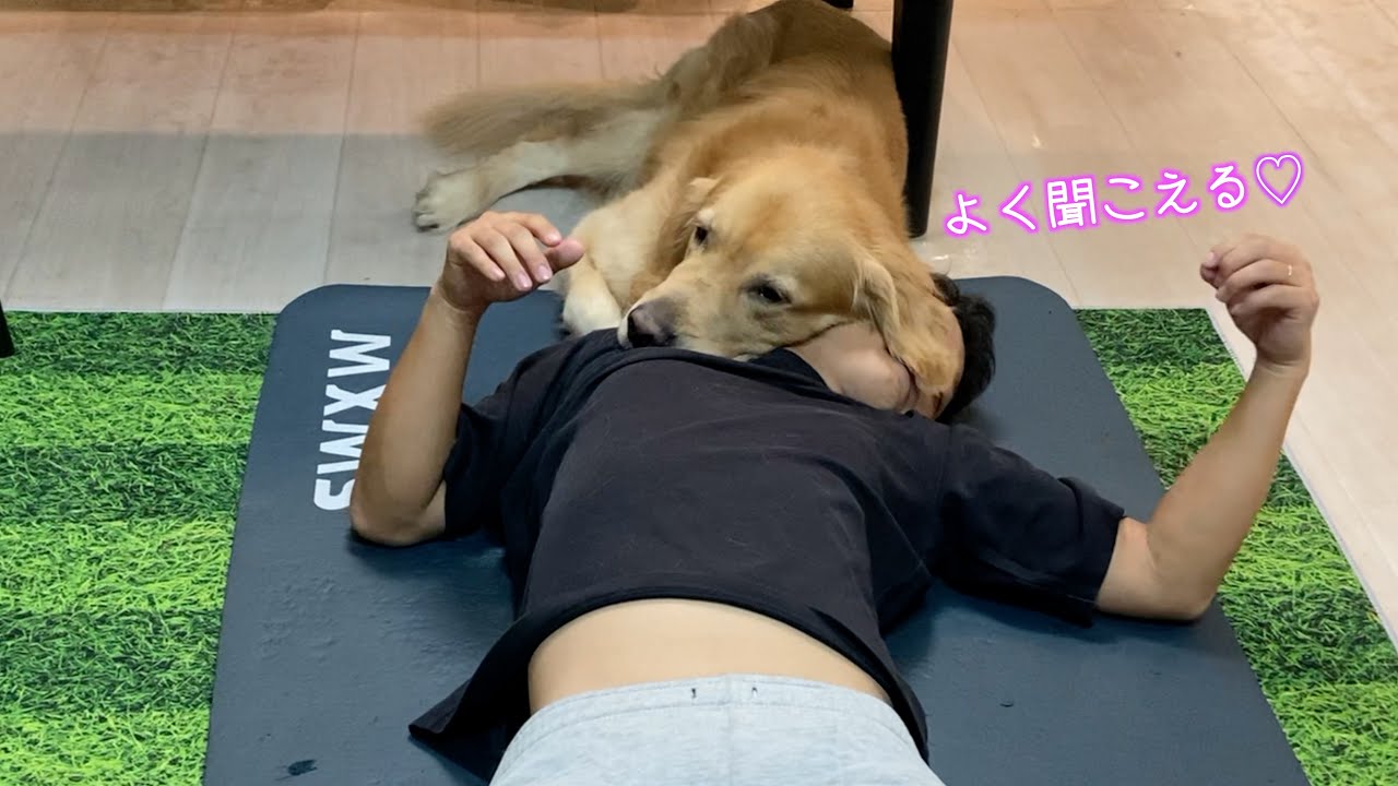 愛犬に「おいで」連呼してたら、こうなったw