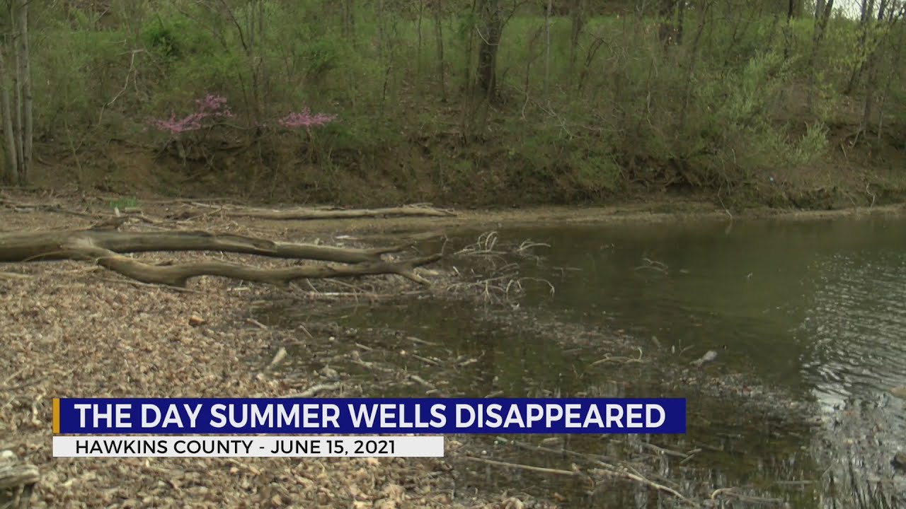 Where did Summer Wells go June 15 before disappearing?