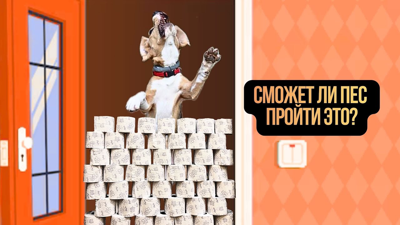 ИСПЫТАНИЕ ТУАЛЕТНОЙ БУМАГОЙ