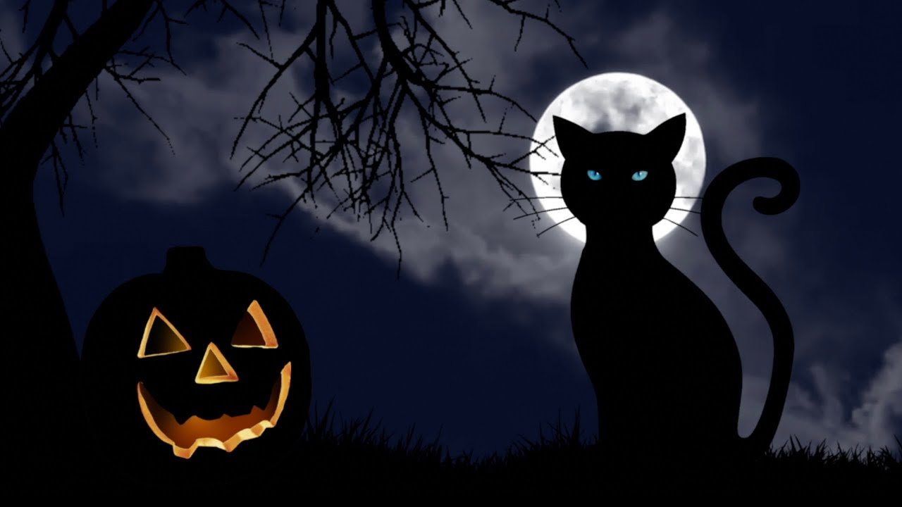 Black Cats: The Superstitions and the Science