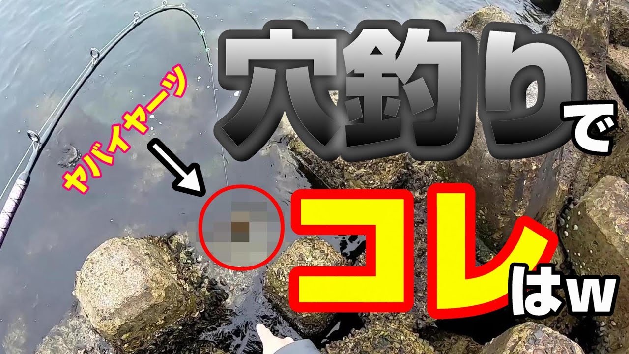 穴釣りでまさかのバケモノ級？の〇〇ｗｗｗ【知多半島　穴釣り】