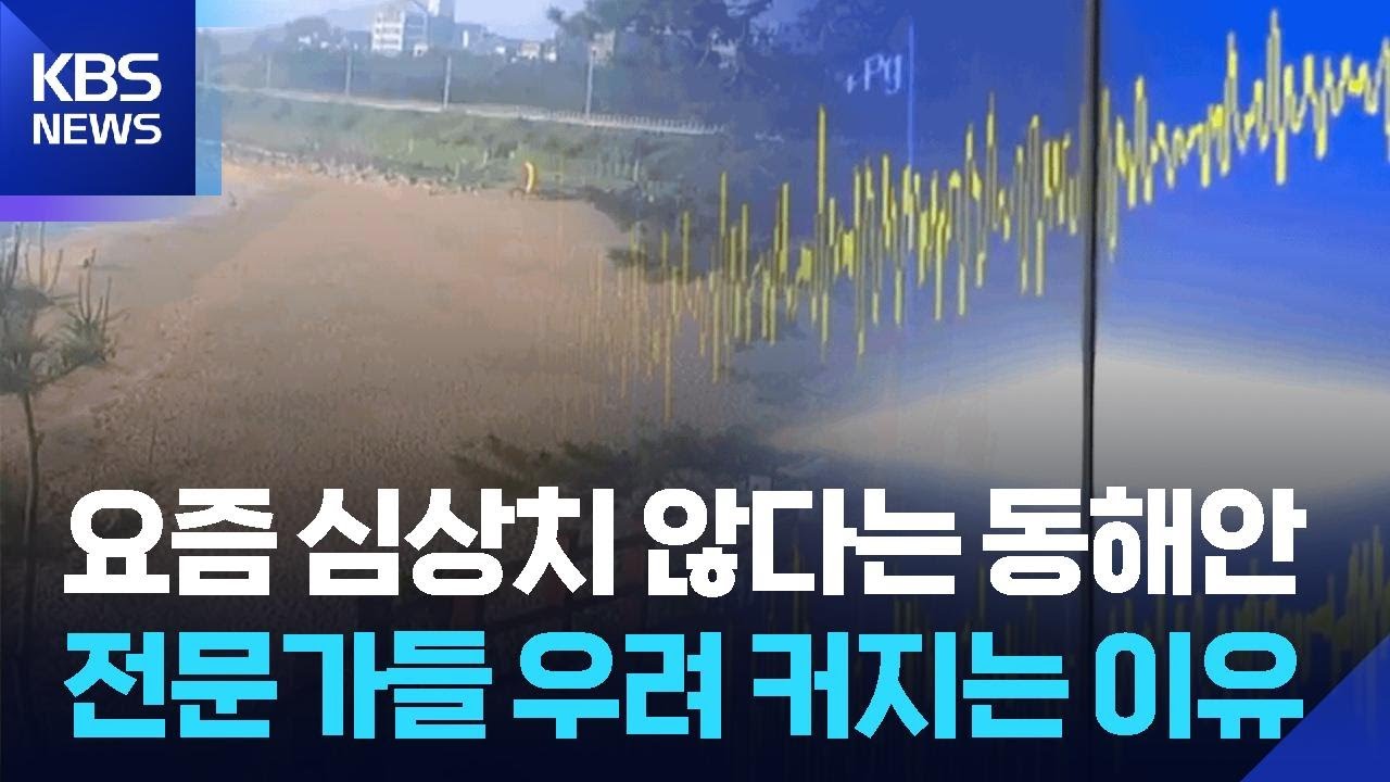 요즘 심상치 않다는 동해안…전문가들 우려 커지는 이유 / KBS  2026.02.25.