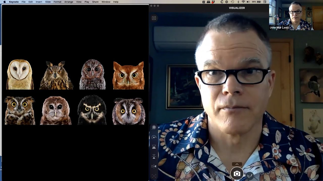 How to Draw Owls with John Muir Laws (Part 1 of 2)