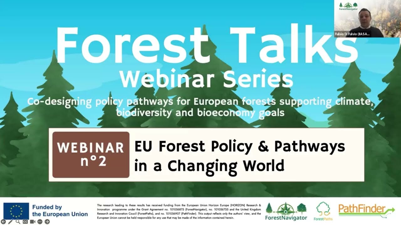 EU Forest Policy and Pathways in a Changing World | Forest Talks Webinar - #2