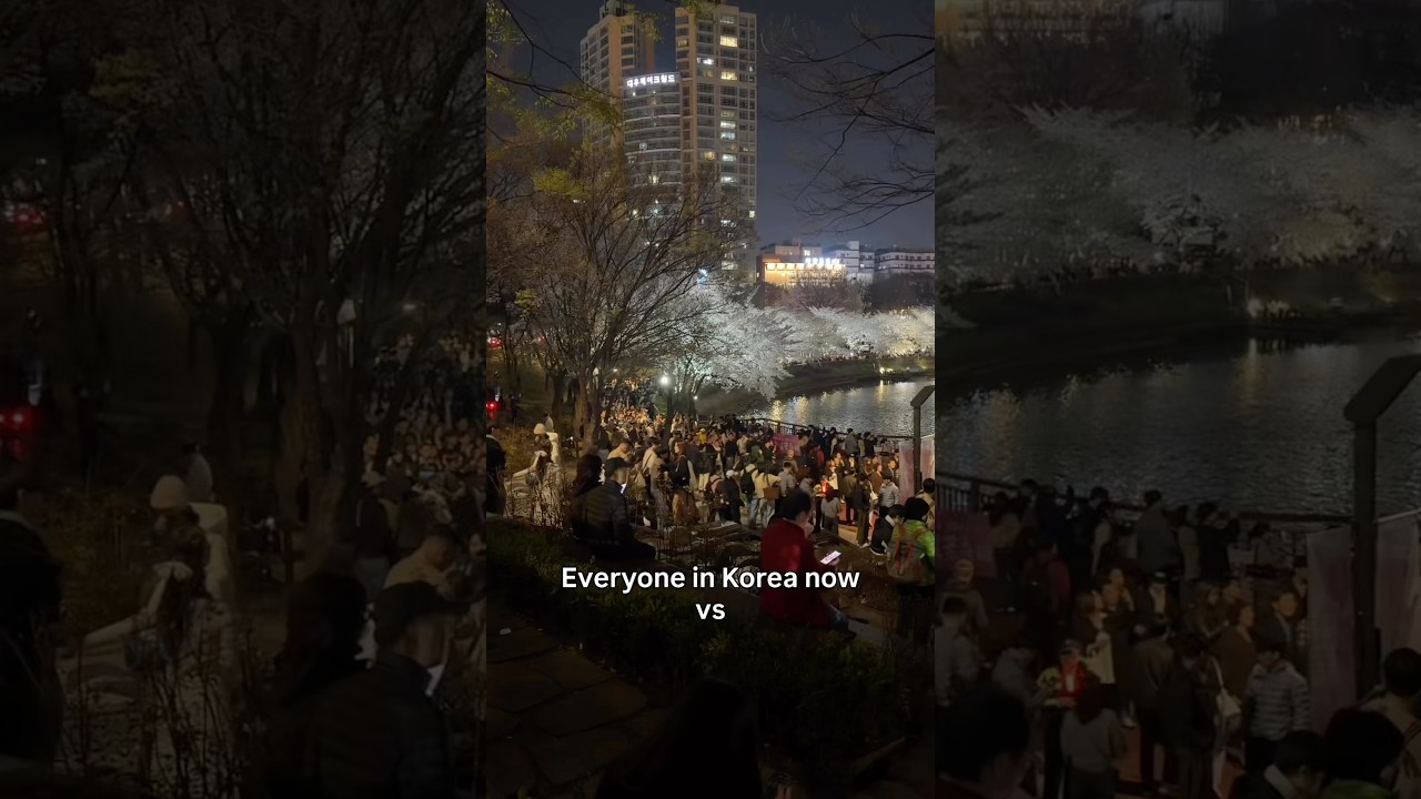 Wszyscy w Korei kontra ja #pov #korea #kwitnącawiśnia