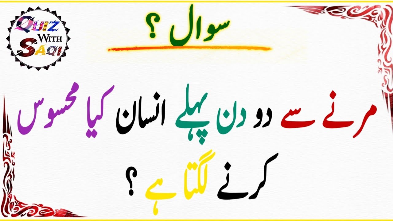 40+ Amazing General Knowledge Questions 2025 | GK Q & A for all Ages | Test your mind with Saqi #09 