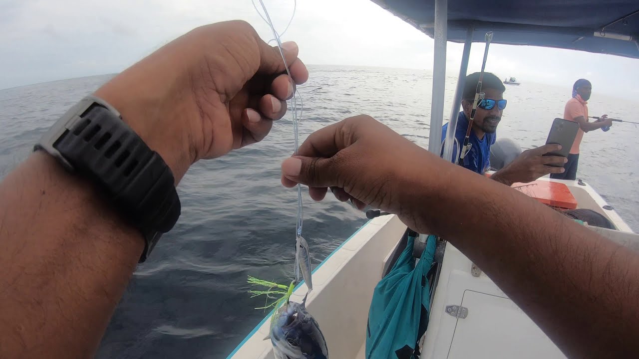 Yellowfin Tuna Maldives - Popping & Jigging  Oceankiller