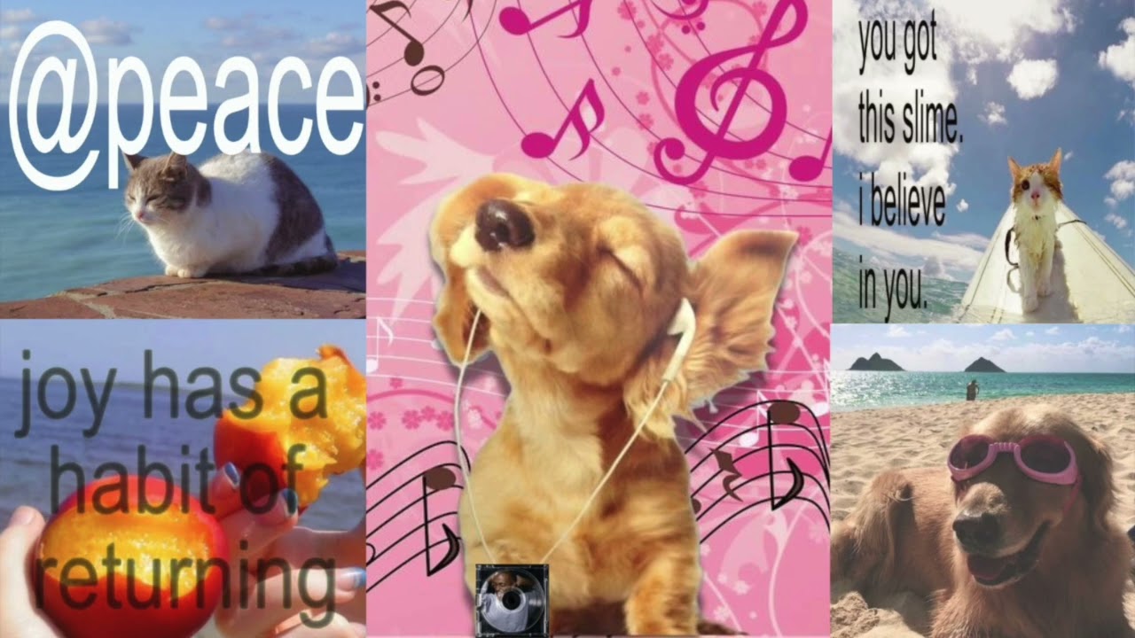 Upbeat hopecore bangers playlist (Crash out repellant) Pt 3 ˖ ݁♬⋆.˚𝄞
