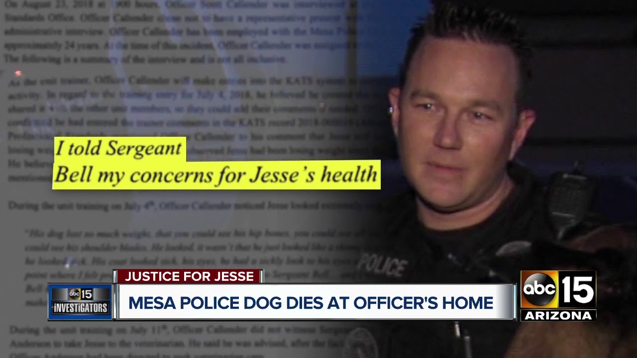 Mesa officer retires after investigation into K-9's death