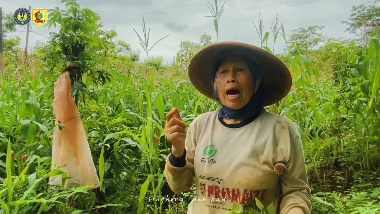 Video Profil Dusun Dilem - Gebangharjo - Pracimantoro - Wonogiri