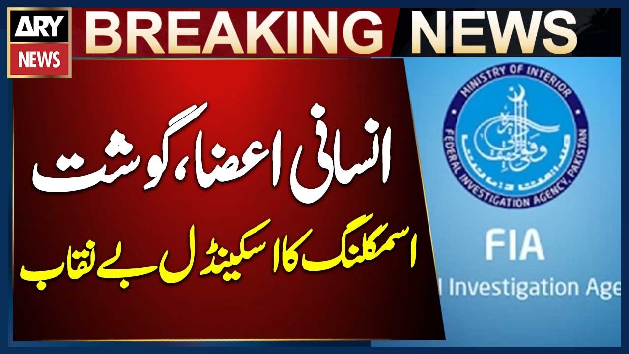 Human Organ and Flesh Smuggling Scandal Exposed in Islamabad