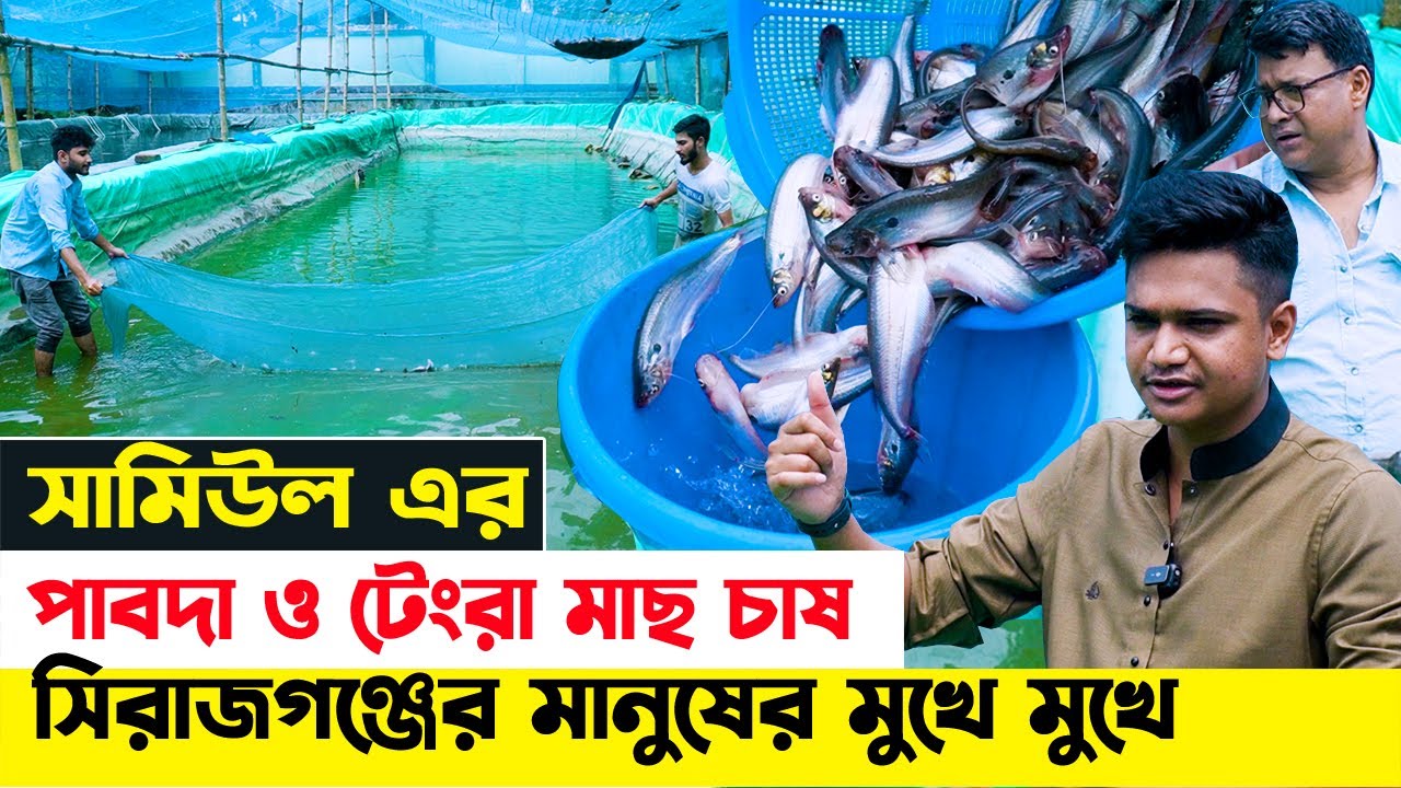 সামিউল ভাইয়ের বায়োফ্লক পদ্ধতিতে পাবদা ও টেংরা মাছ চাষে সিরাজগঞ্জ জেলায় মানুষের মুখেমুখে