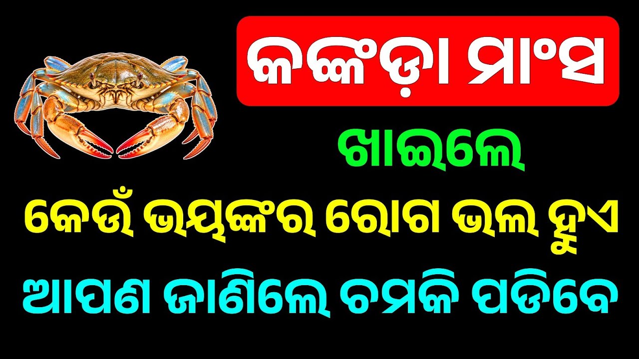 Odia GK Questions & Answers 2026 | ଆଜିର Top Important General Knowledge Quiz