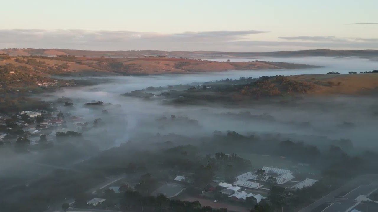 Mr Merv Toodyay Winter Morning 2023