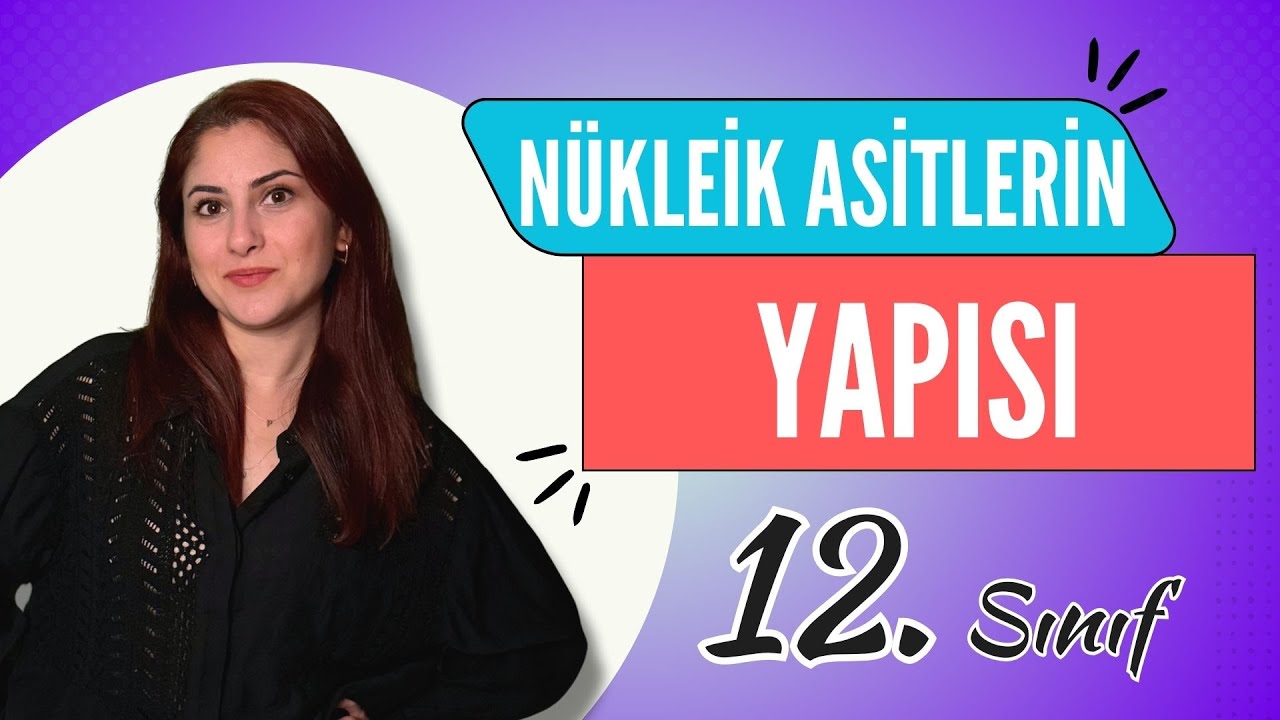 2) NÜKLEİK ASİTLERİN YAPISI | 12. SINIF | AYT BİYOLOJİ DERS NOTLARI | 2024