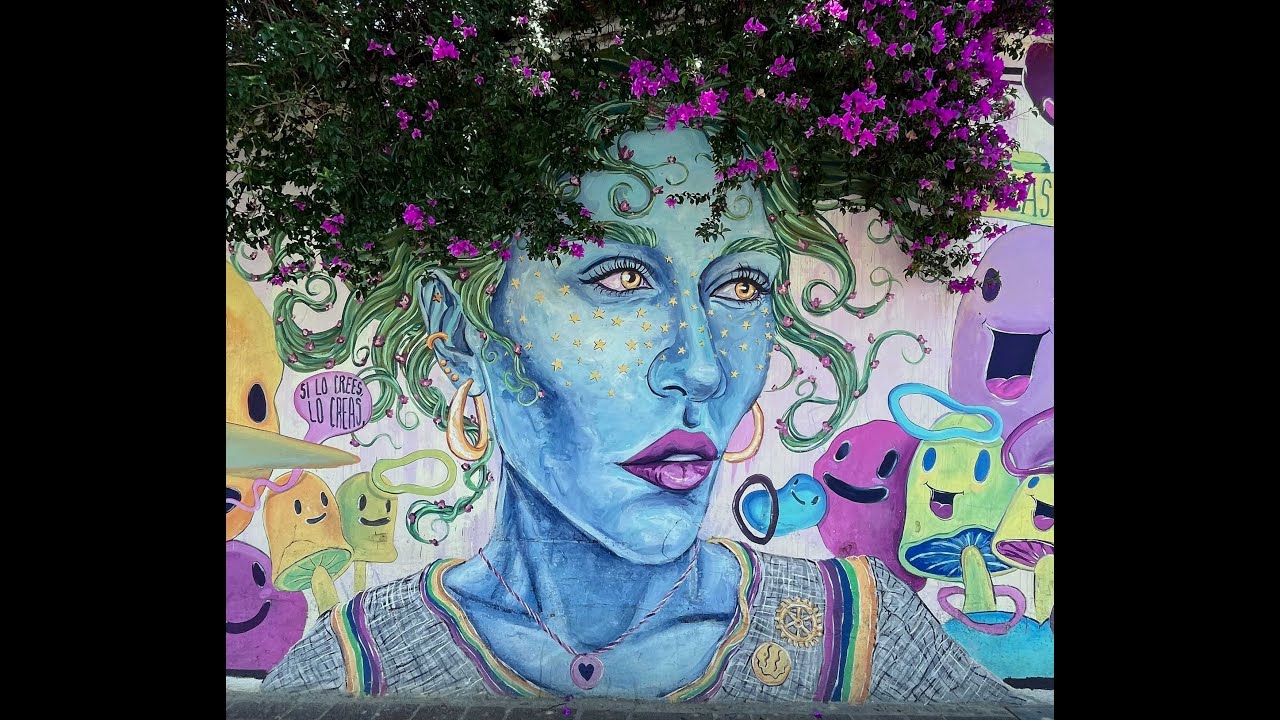 The Streets of Oaxaca