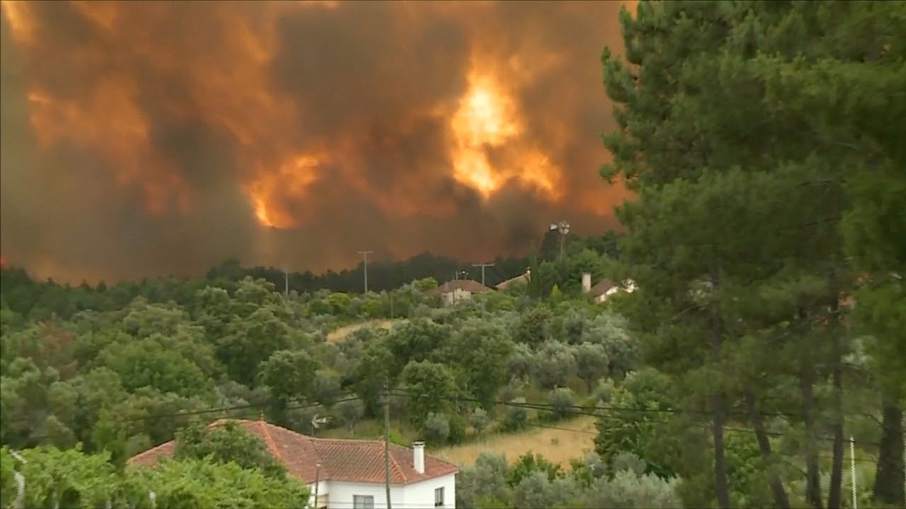 Decenas de muertos y heridos en un incendio forestal en Portugal