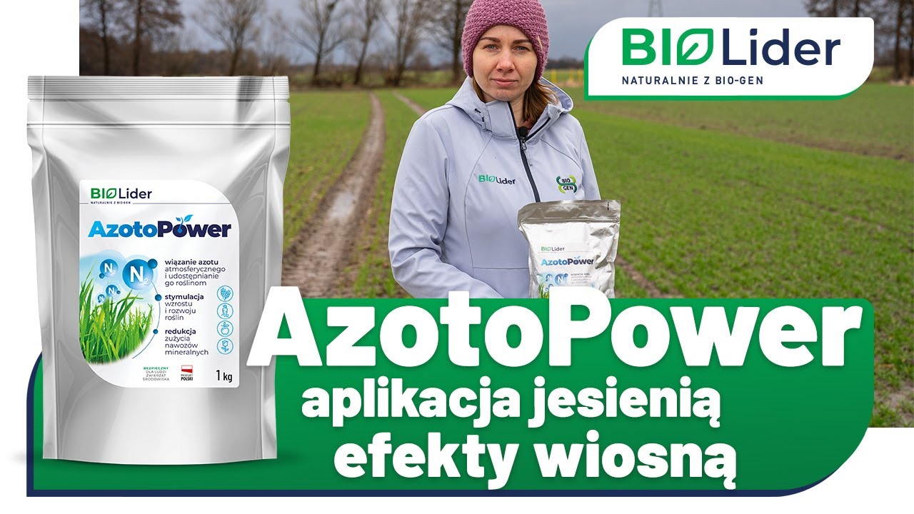 AzotoPower w pszenicy ozimej - aplikacja jesienią, efekty wiosną