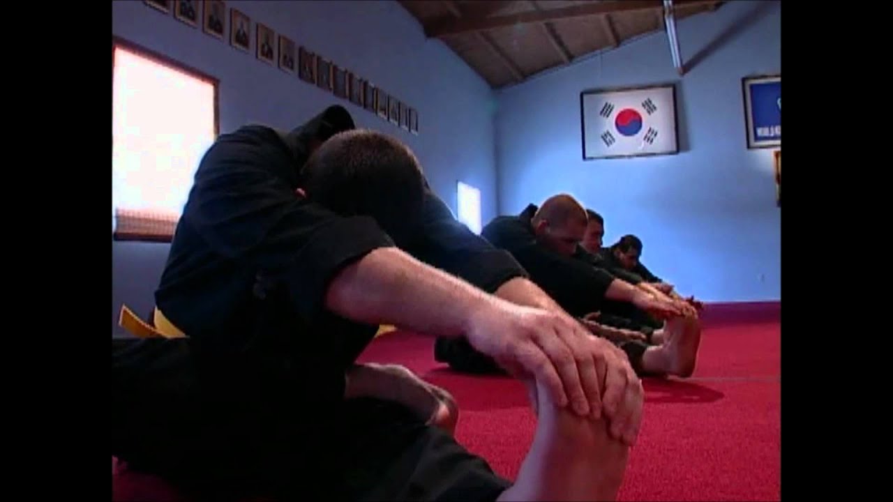 What is Kuk Sool?