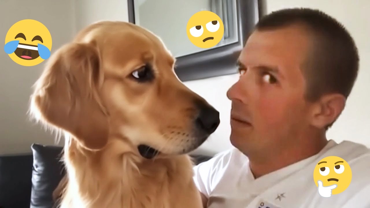 Смешная подборка видео с собаками – Лучшие видео с собаками 2025 года 🐕🤣 #72