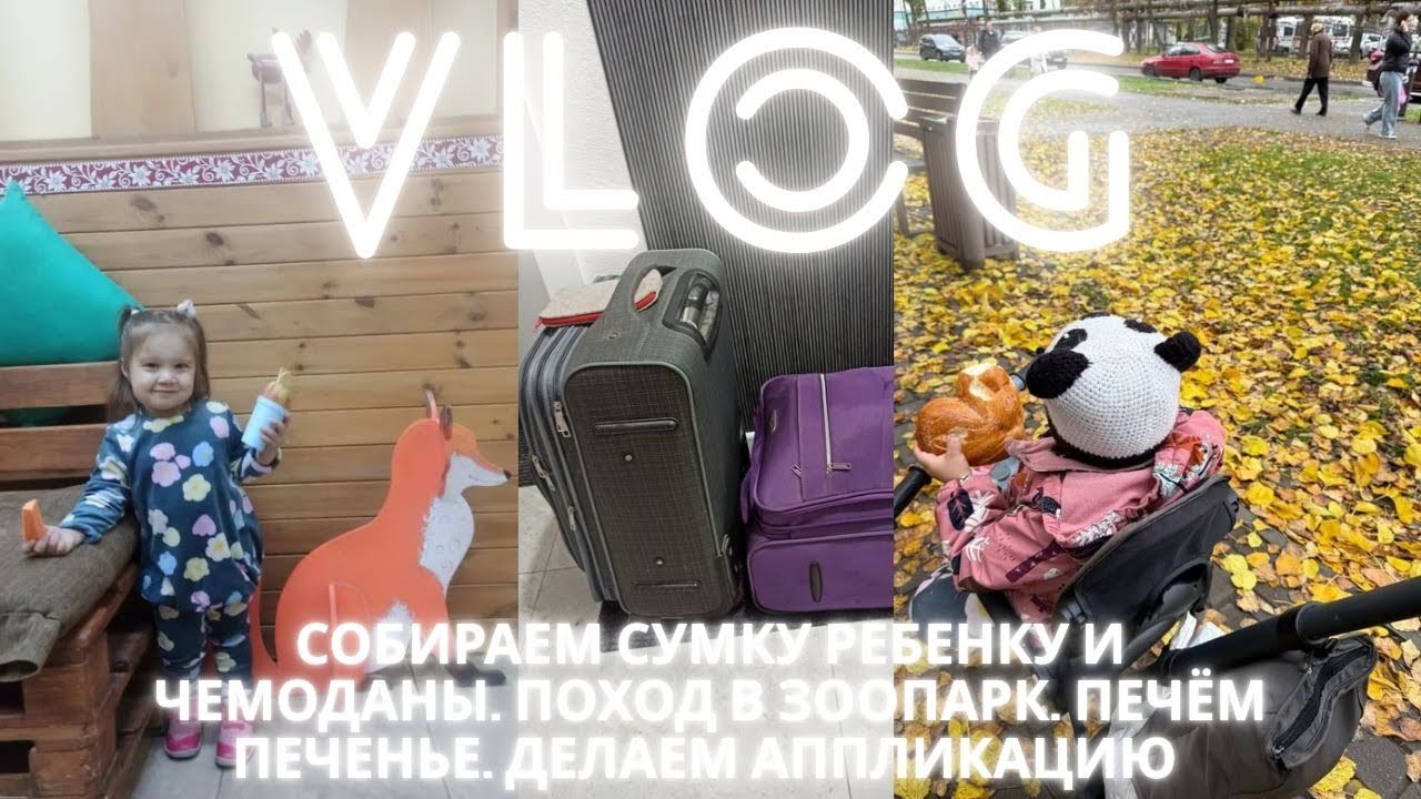 СОБИРАЕМ СУМКУ РЕБЕНКУ И ЧЕМОДАНЫ. ЗООПАРК. ПЕЧЕНЬКИ. АППЛИКАЦИЯ
