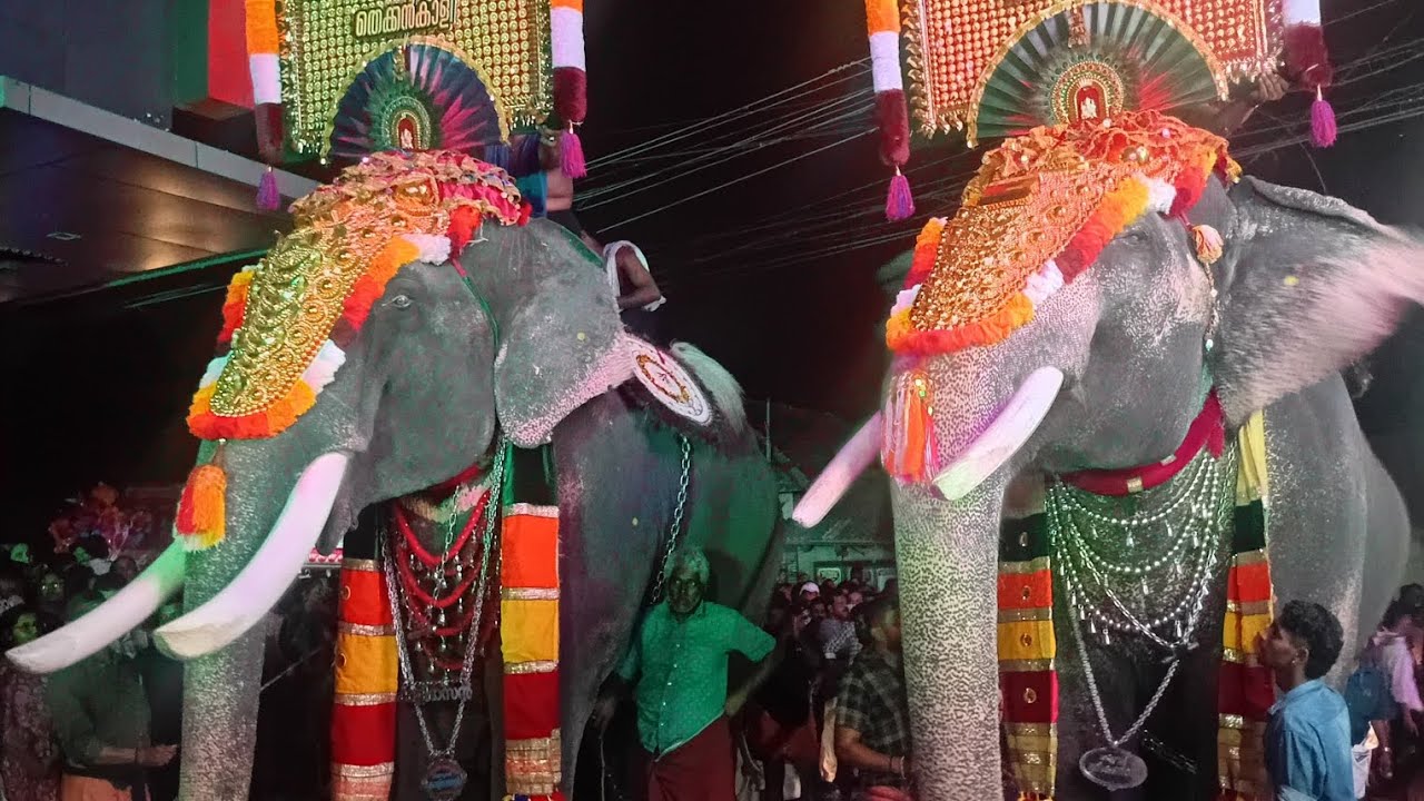 കാവിലക്കാട് വെടിക്കെട്ട്‌ എങ്ങനെ ഉണ്ട് ഗായിസ് #vedikettu #viralvideo #viral 