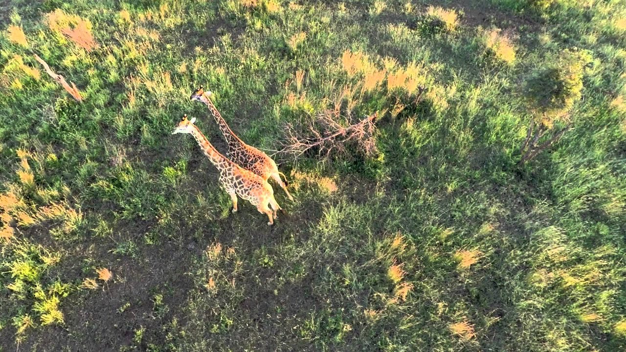 DRONE OVER THE KRUGER NATIONAL PARK
