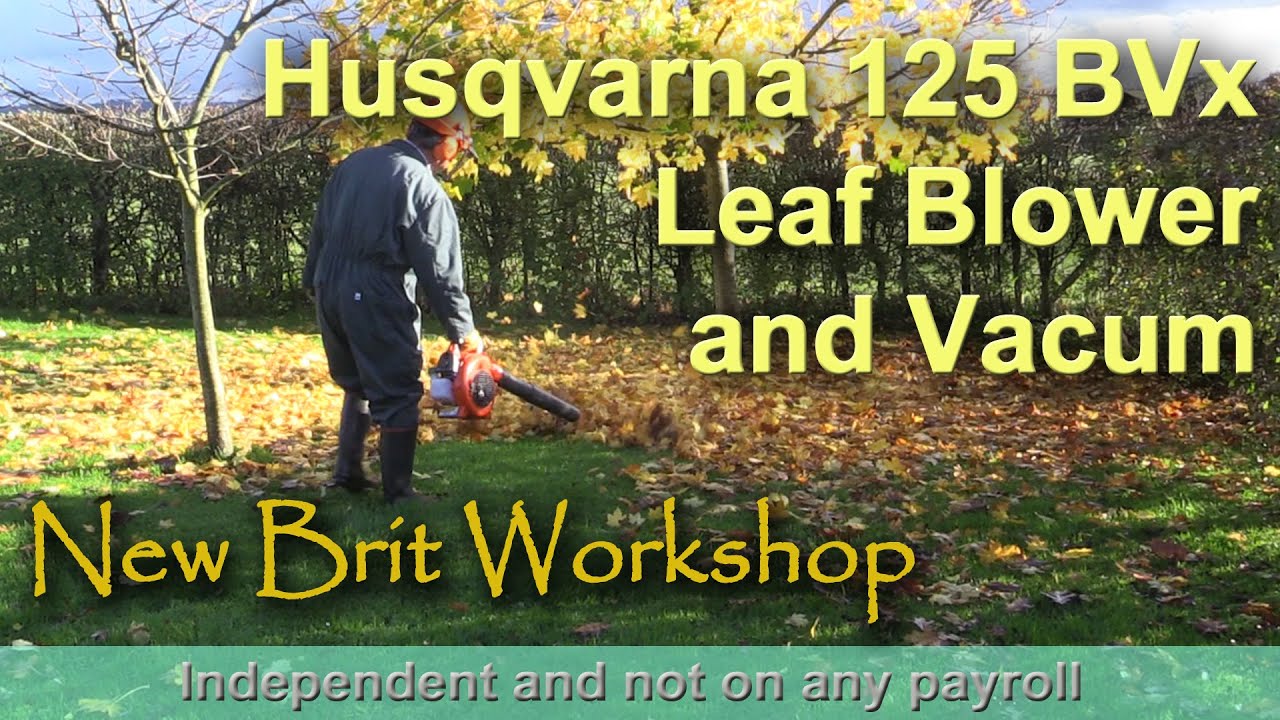 Husqvarna 125 BVx Leaf Blower