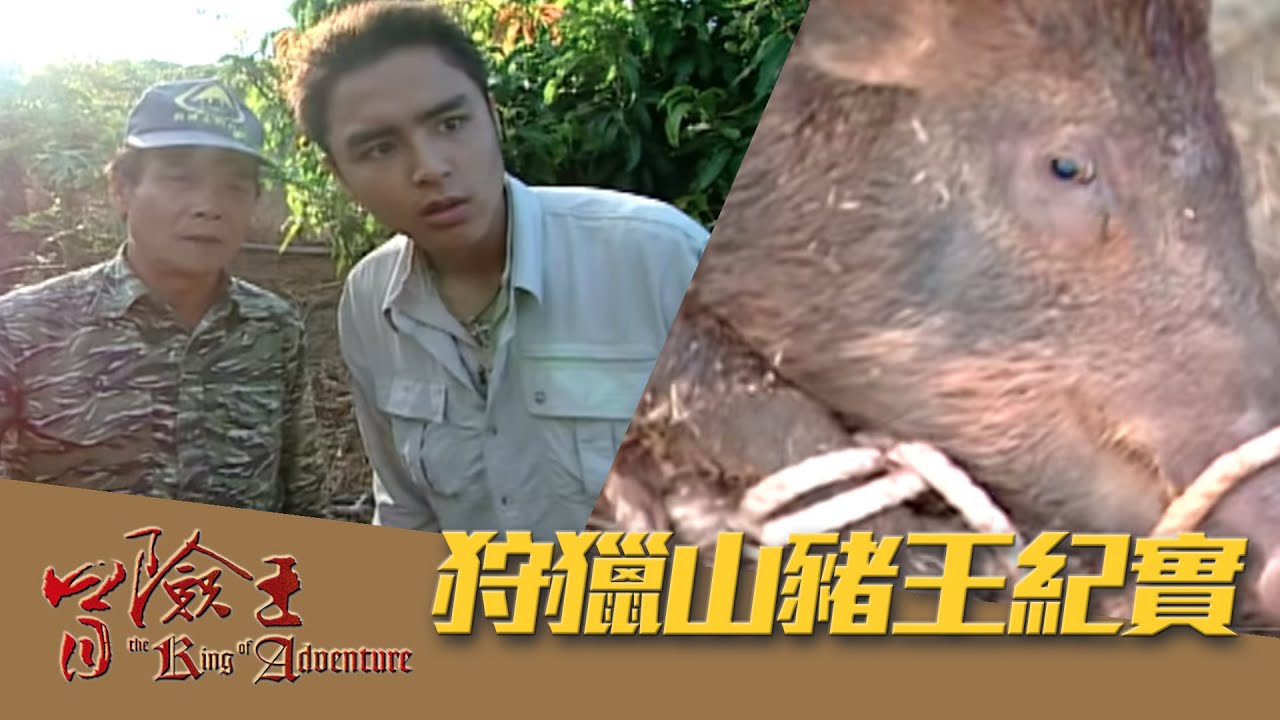 【冒險王】【台灣】狩獵山豬王紀實 EP14