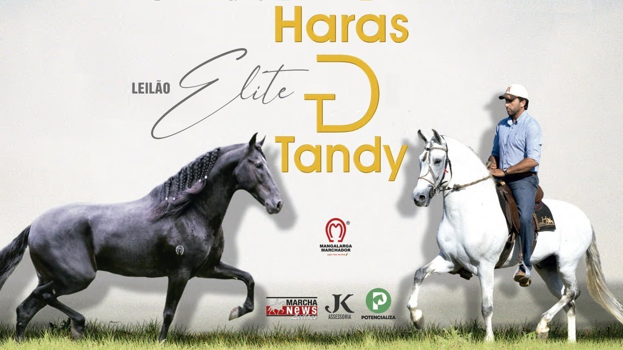 Leil&atilde;o Elite - Haras Tandy
