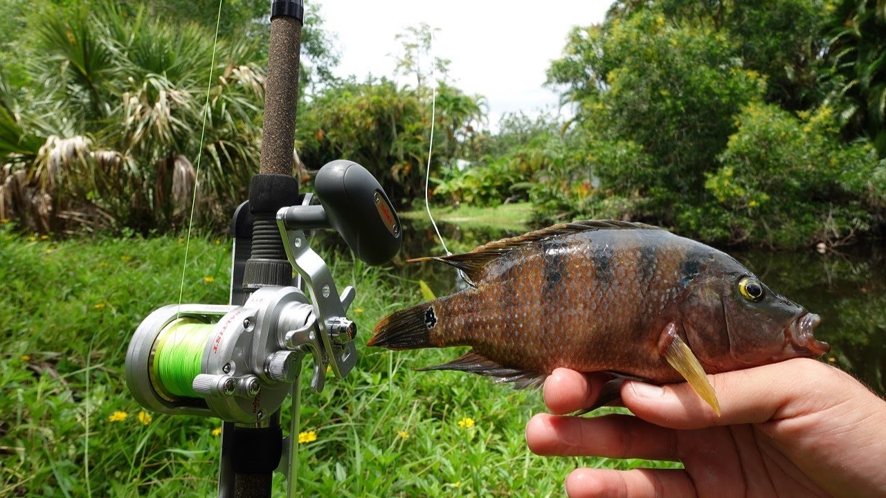 This Tiny Creek Holds Huge Fish
