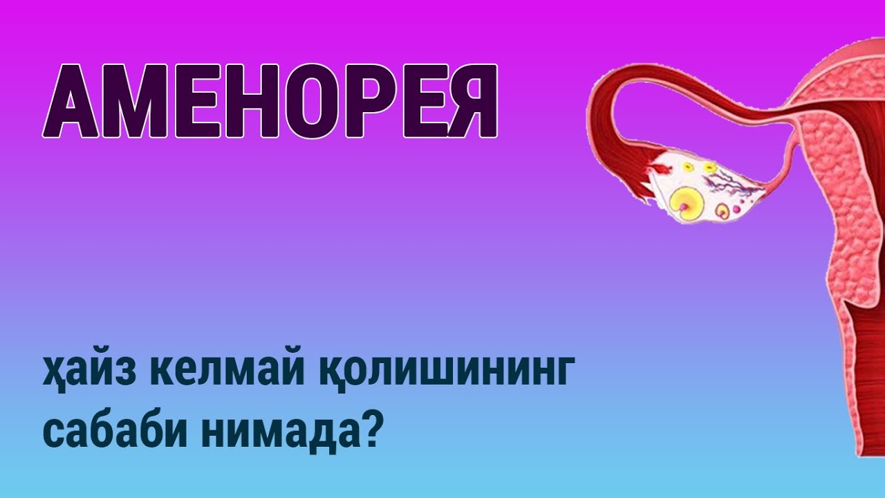 Аменорея: ҳайз келмаслигининг сабаби нимада?