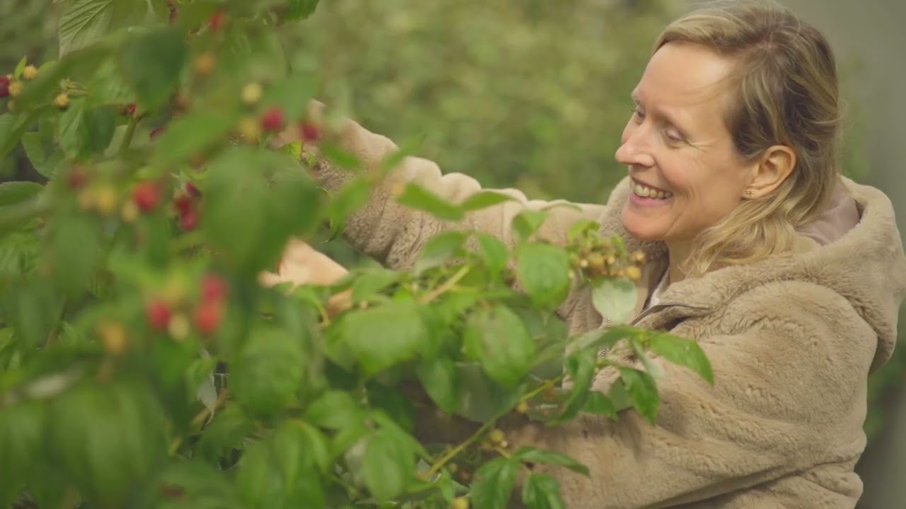 EhB Mijn Tuinlab - tuinen verbinden