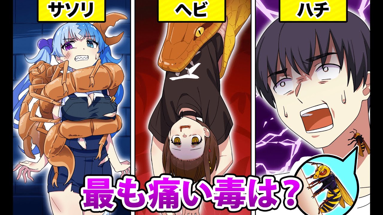 最も一番痛い毒はどれ？【アニメ】【漫画動画】