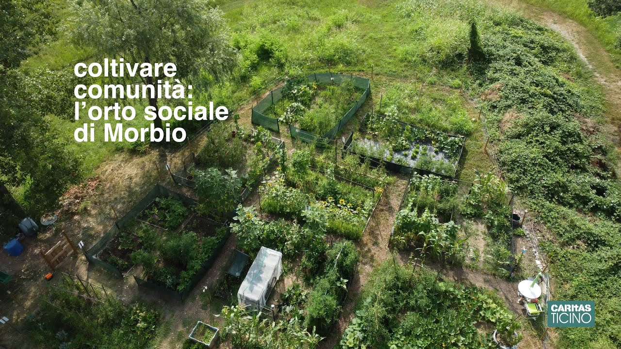 Coltivare comunit&agrave; - L'orto sociale di Morbio Inferiore