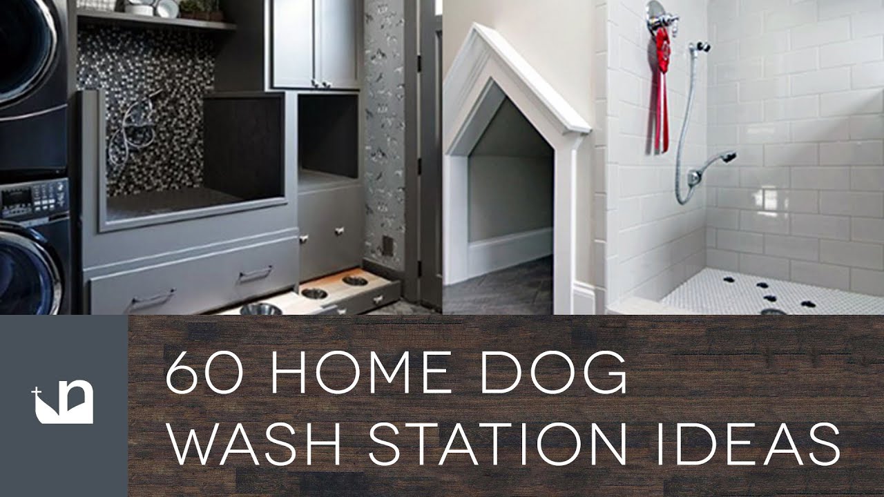 60 Home Dog Wash Station Ideas